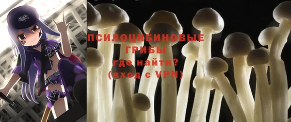 каннабис Белокуриха