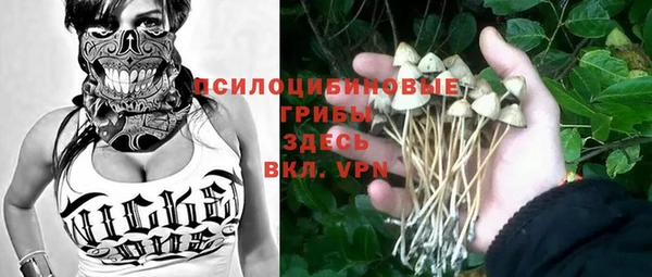трава Беломорск