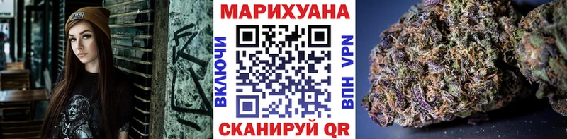 Конопля гибрид  Брюховецкая 